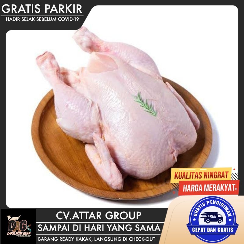 

Ayam Broiler 700-800Gram