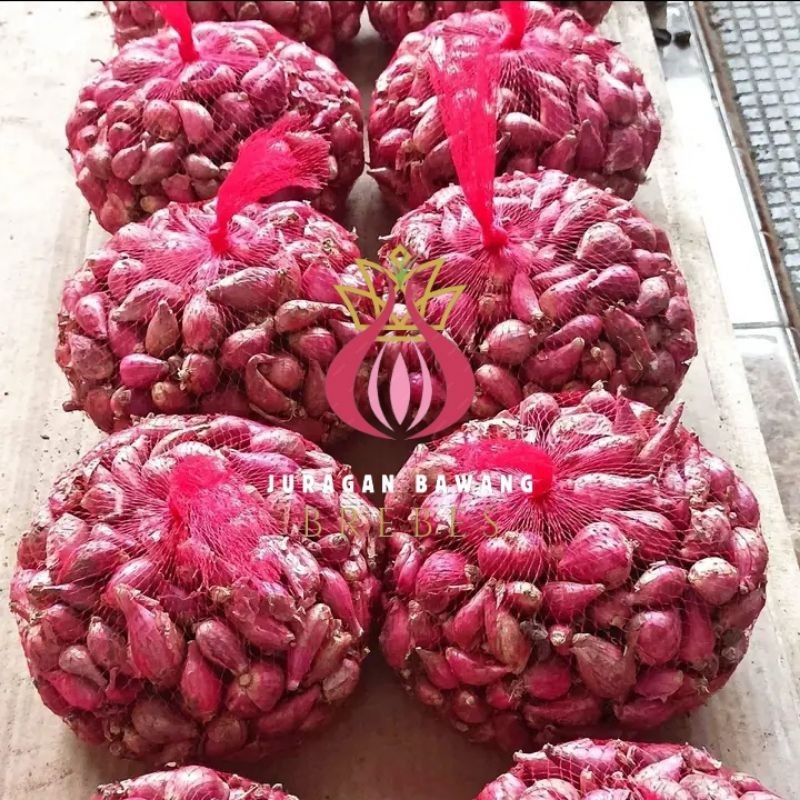 

Bawang Merah 1 kg Besar