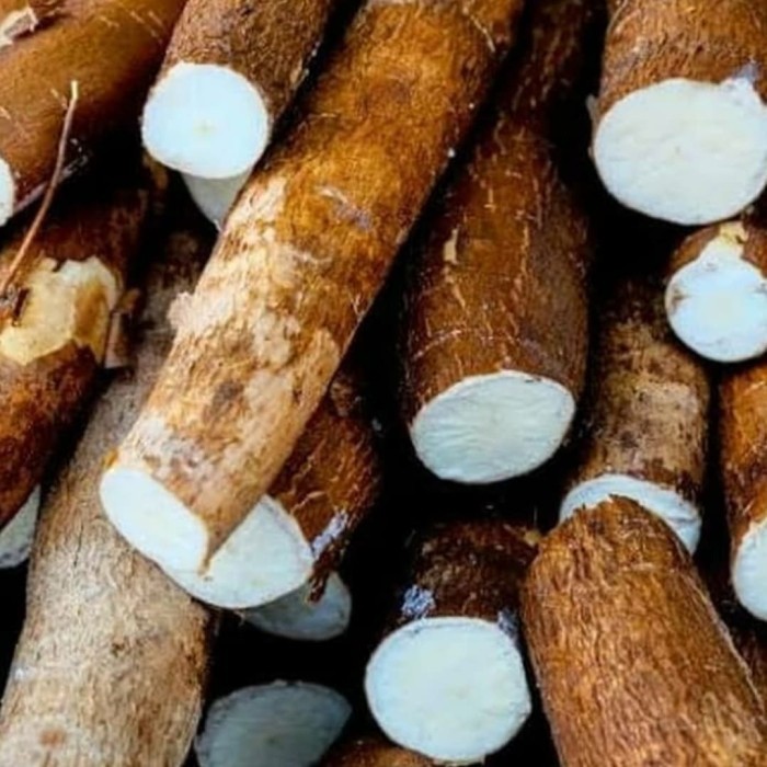 

Singkong 1kg