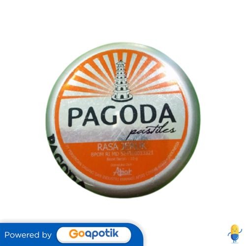 

Pagoda Pastiles Rasa Jeruk 10 Gram Kaleng