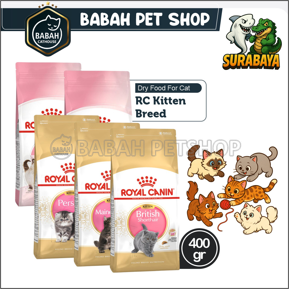 400gr ROYAL CANIN KITTEN BREED cat food persian british mainecoon sterilised makanan anak kucing rc 