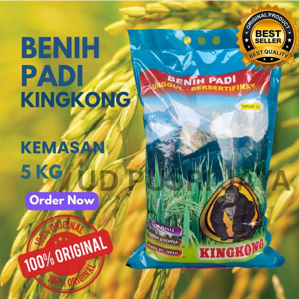 New Benih Padi Inpari 32 Kingkong premium