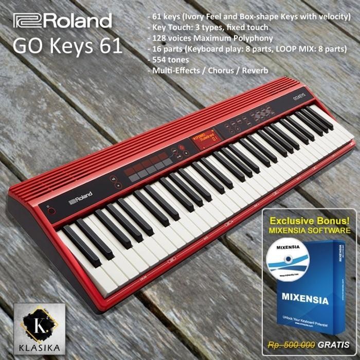 Roland Go Keys 61 / GO 61K / GO61K / GoKeys61 / GoKeys / Keyboard