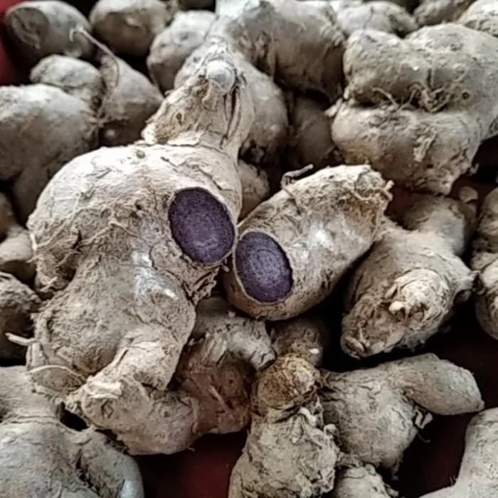 

Promo kunyit hitam 100 gram