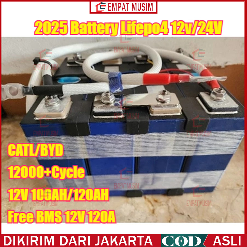 CATL/BYD 2025 Battery Lifepo4 Battery Lifepo4 12v/24V 100ah /120AH plus BMS