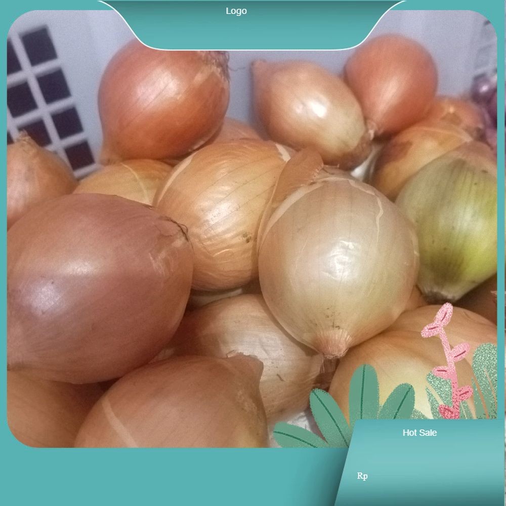 

bawang bombay kering segar fresh 500gram