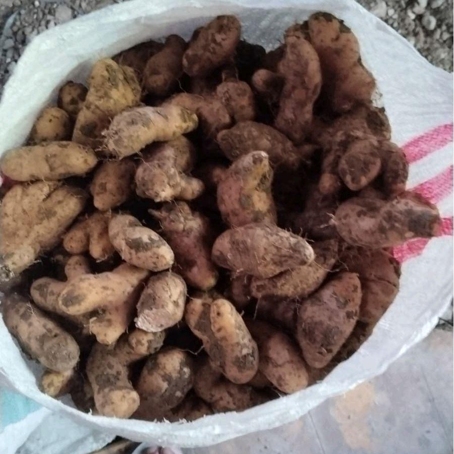 

​Ubi Gembili Segar 1 Kg – Umbi Tradisional Kaya Serat & Gizi