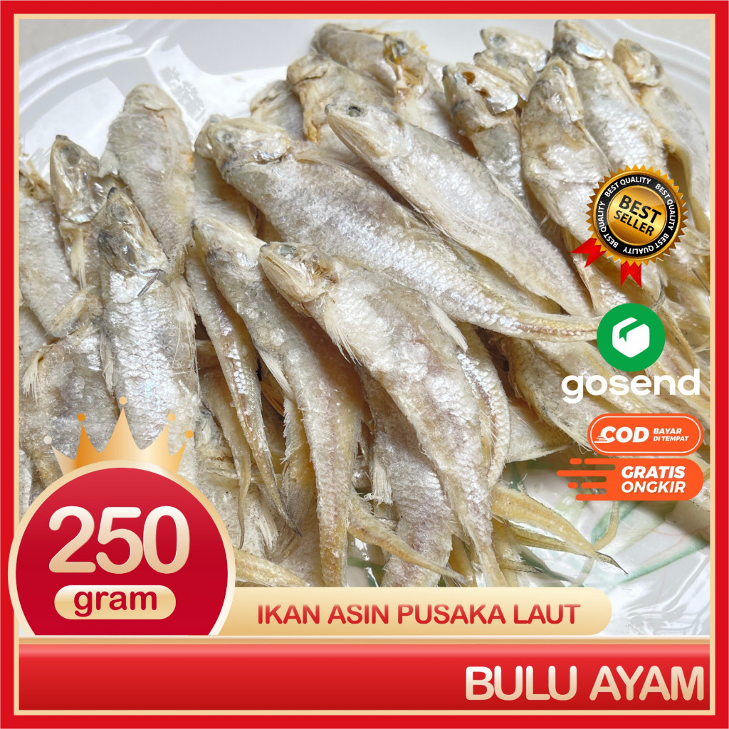 

Ikan Asin Bulu Ayam Kering Super Packing Plastik Vakum Seal
