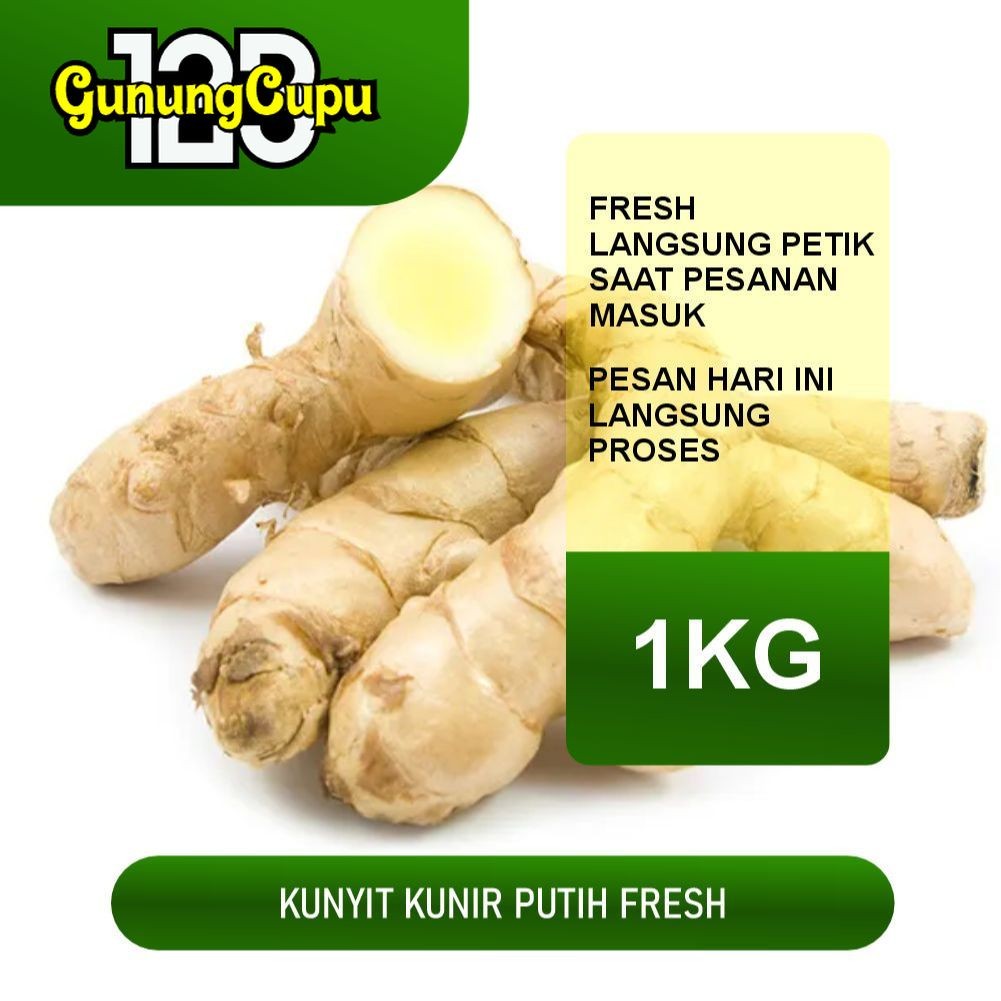 

Kunyit / Temu Putih Segar 1 Kg (Curcuma Zedoaria)