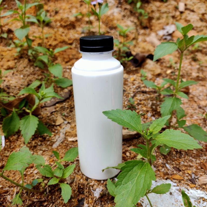 Getah karet cair murni 250ml (100% ASLI) bisa COD