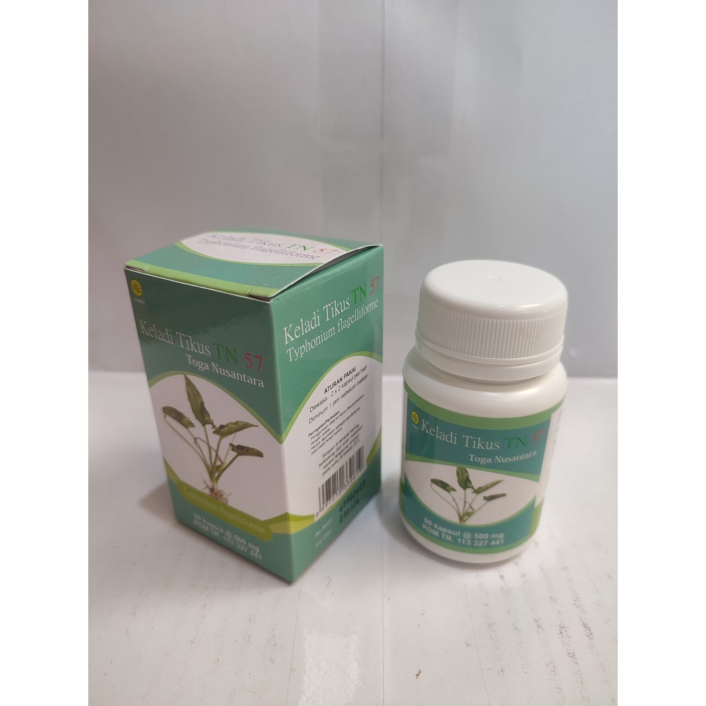 Kapsul Keladi Tikus 50 Kapsul Keladi Tikus TOGA  NUSANTARA