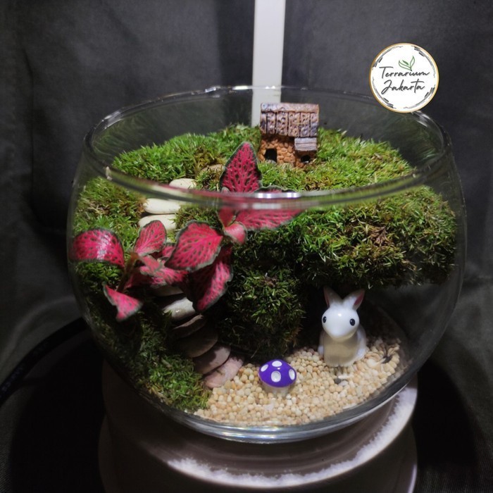 

Closed Terrarium| home town Type 2| kado unik- mini size | Hampers - Terrarium only