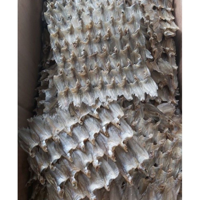 

Sepat Tikar / Sepat Baris Khas Banjar / Berat 500 Gram