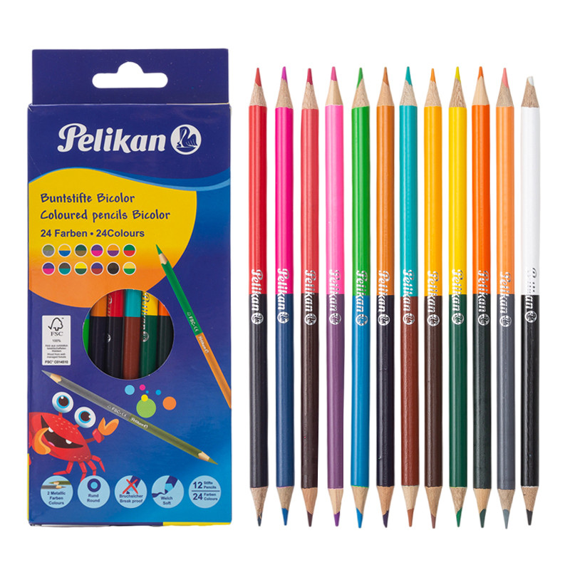 

24 Colors Double Headed Pencils for Children Professional Drawing Sketching and Pastel Art Premium Student School Art Supplies
