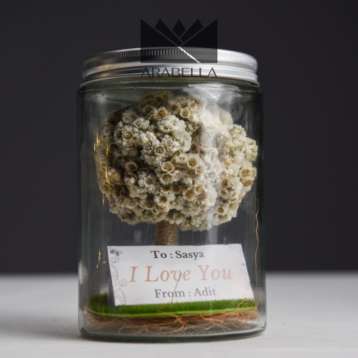 

Dried Edelweiss Toples Kaca Kado Miniatur Pohon Besar Hadiah Hiasan - Original
