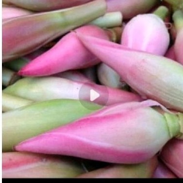 

bunga kcomrang sgar 250 gr rombeh sayur .: