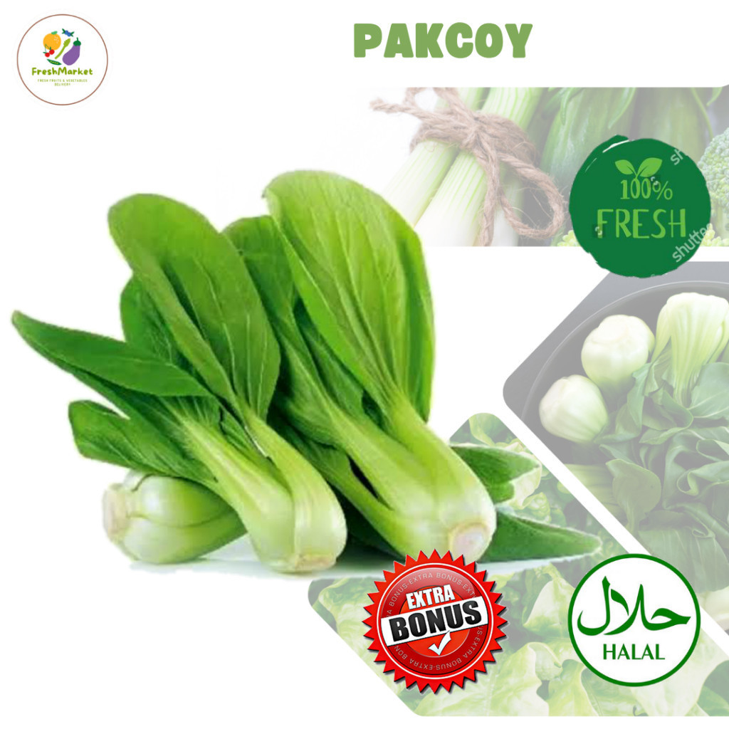 

Pakcoy Hijau Sayuran Segar 1 Ikat Sayurinstant