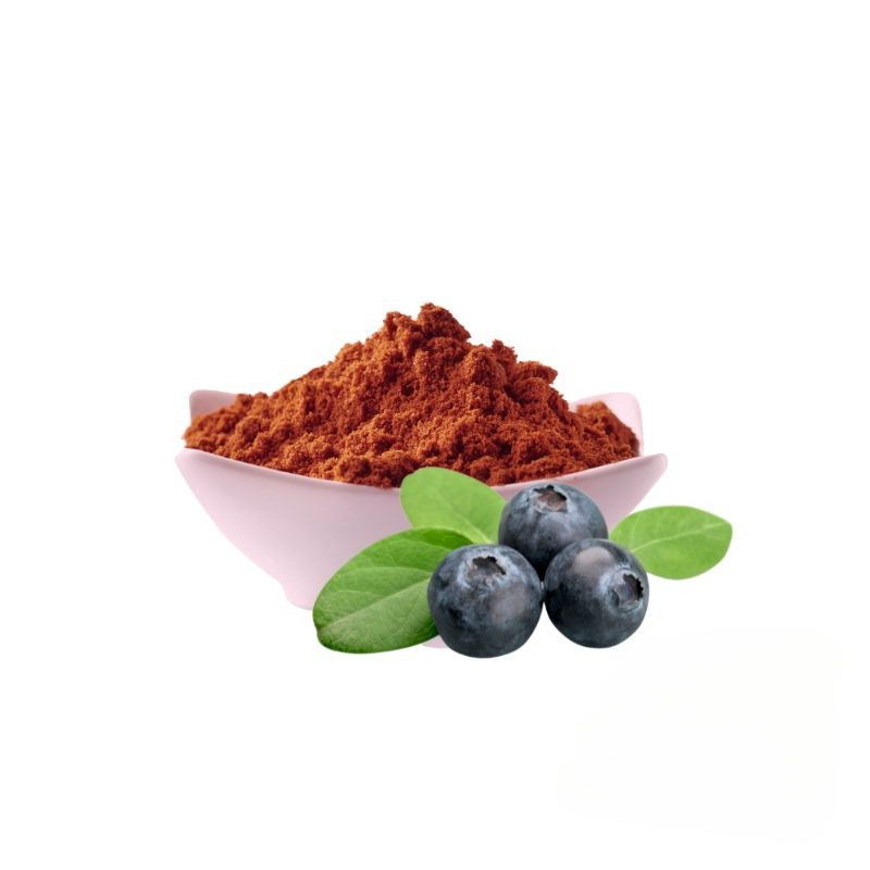 

100gr Blueberry Powder - Bubuk Blue Berry Asli Berkualitas