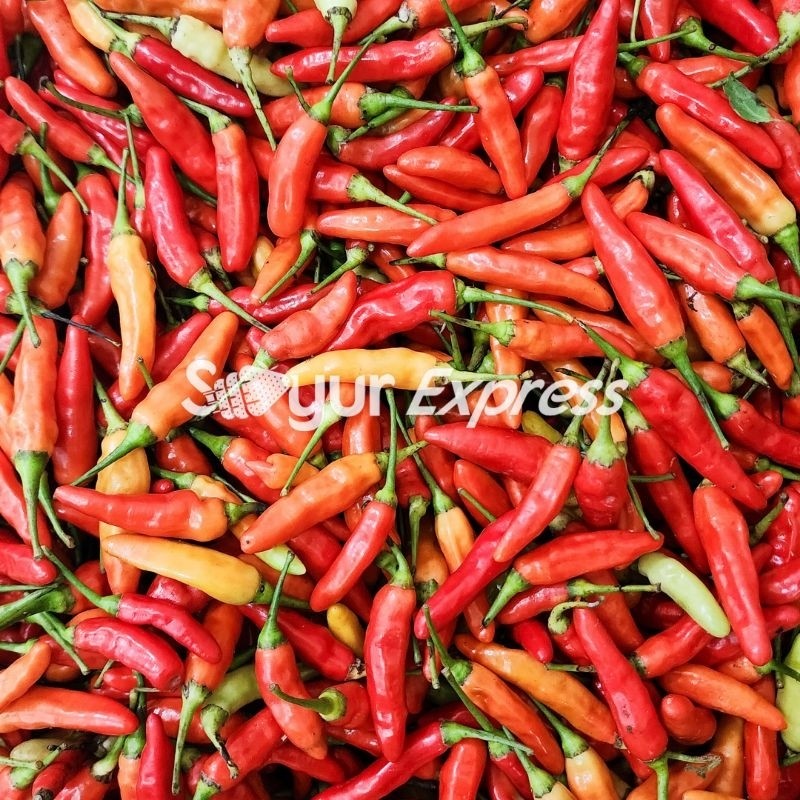 

Paket KIRIM INSTAN Cabe Rawit Merah 100gr Sayur Express