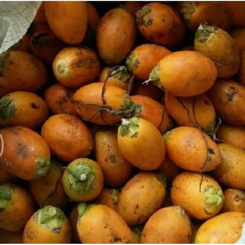 

Buah Pinang Tua Jambe 1kg Bersih Gelotokan DN