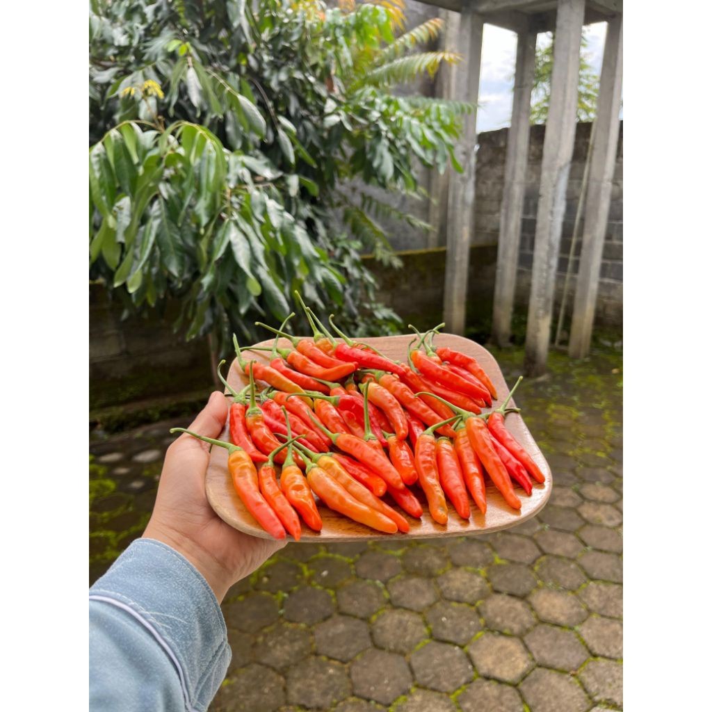 

PROMO CABE RAWIT MERAH SUPER 1KG/500GR