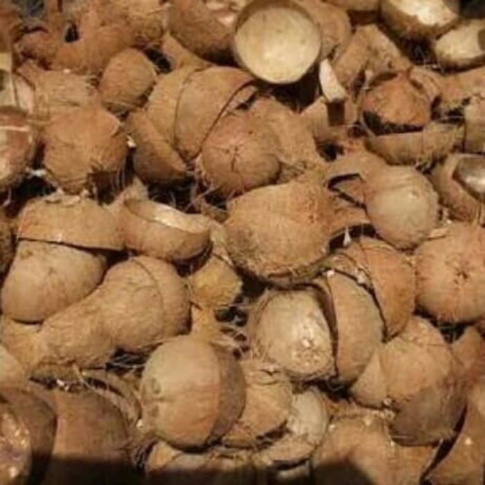 

Batok kelapa ( tempurung kelapa) - untuk kerajinan tangan