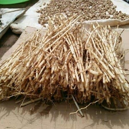 

Akar alangalang segar 100 grm