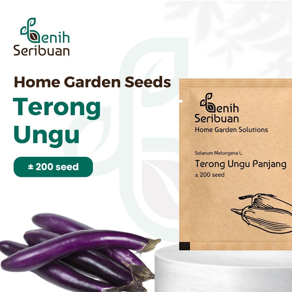 Benih  - Bibit Sayuran Terong Ungu Panjang F1 Hibrida