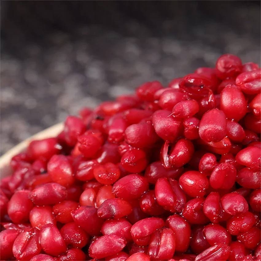 1000Pcs/Set Umpan Pelet Cacing Darah Umpan Ikan Mas / Umpan Pancing Pelet Ikan Mas Cacing Darah