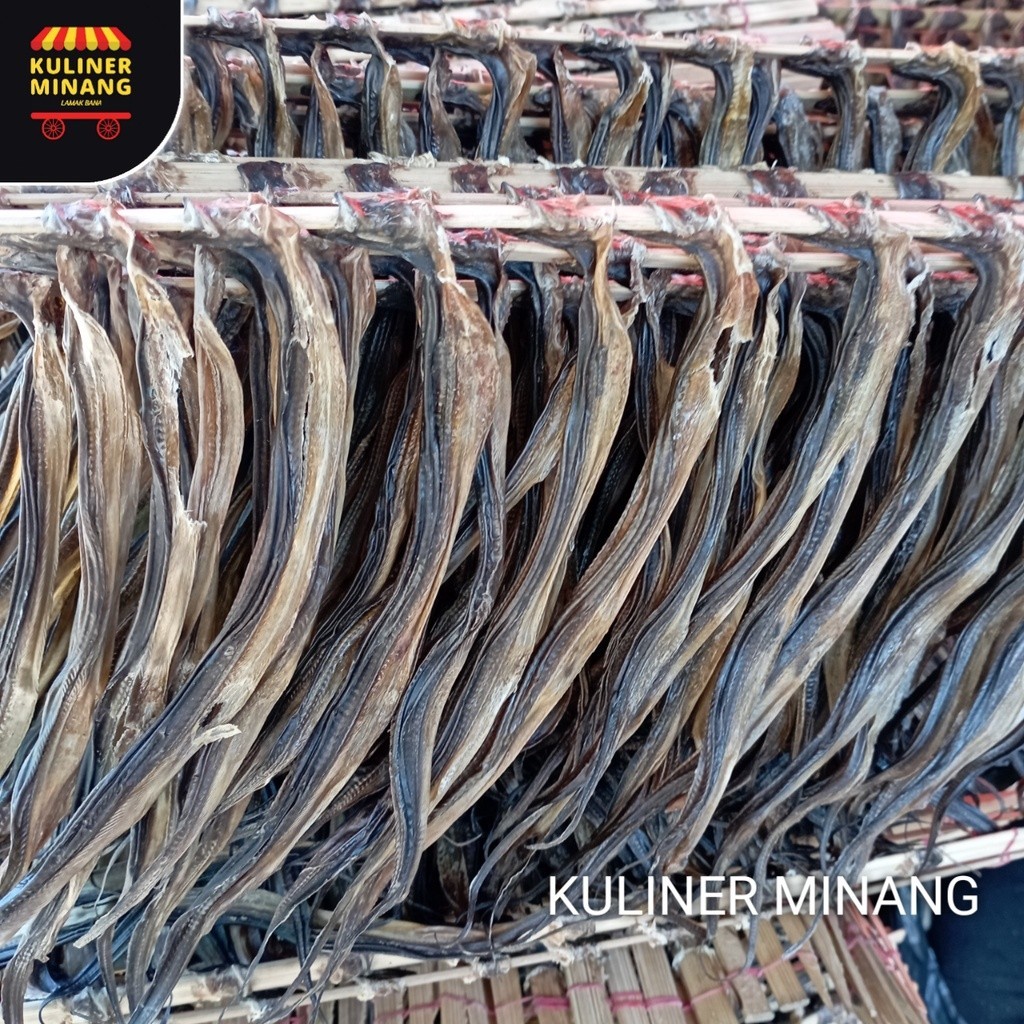 

Kuliner Minang Belut Kering superrr... 15 ekor Oleh-Oleh Asli Cemilan Kampung Makanan Khas Payakumbuh Padang Jajanan Snack AX00