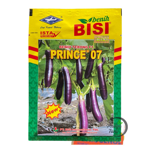 LM32W BENIH BIBIT TERONG NEW PRINCE 07 - 10 GRAM TERONG UNGU CAP KAPAL TERBANG PRINCE EPA