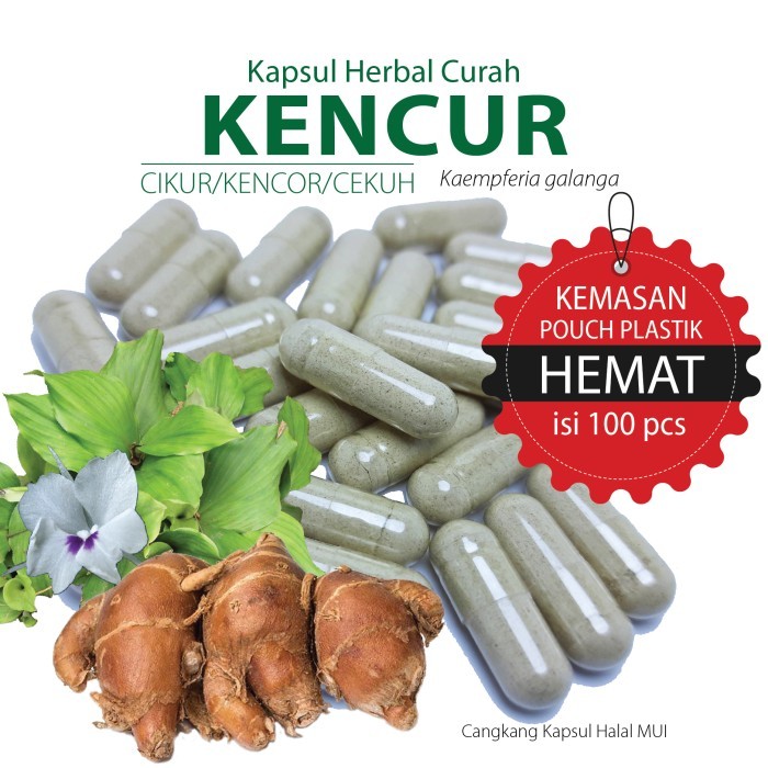 

KENCUR Kapsul Herbal Kemasan Hemat - isi 100 pcs