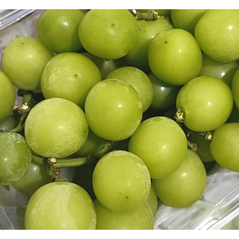 

Anggur Shine Muscat +/- 500 g Pack