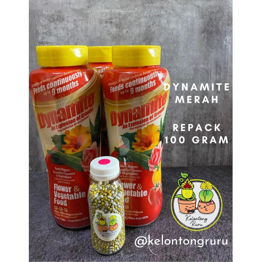 ORI-[Best Quality] Pupuk dynamite slow release 100 gram 13-13-13