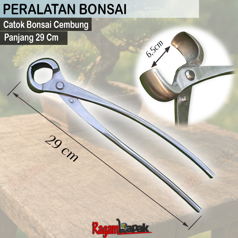 Catok Bonsai Bulat / Catok Bonsai Cembung  Catok Bonsai Cembung Knob Cutter – 29 cm | Full Stainless