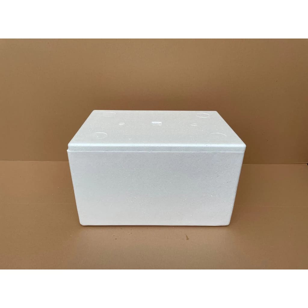 

EXTRA PACKAGING BOX STYROFOAM