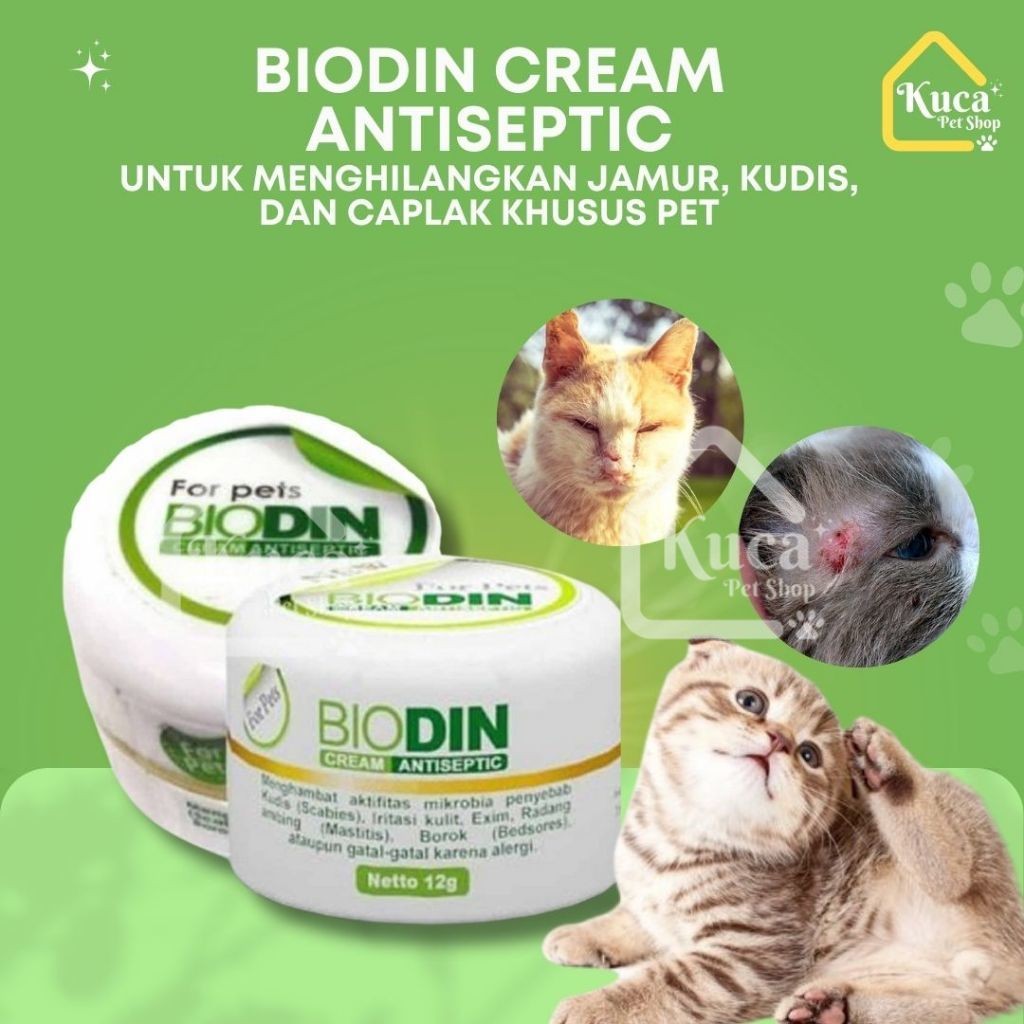 Obat Scabies Kudis Jamur Kucing Anjing Kelinci Biodin Antiseptik Herbal Paling Ampuh Biodin Cream