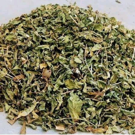 

Daun Katuk Kering Asli Organik Herbal Alami 250 Gram