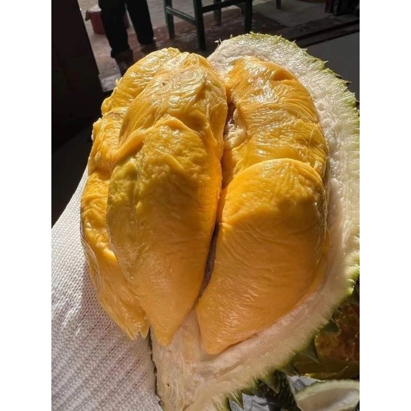 

PROMO!! Durian Medan ||Best Seller||