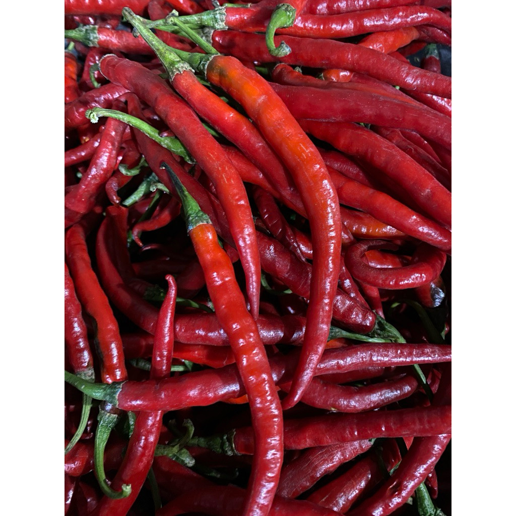 

Paket Cabe Keriting Imperial Freshhh Berat 1kg/1000gr