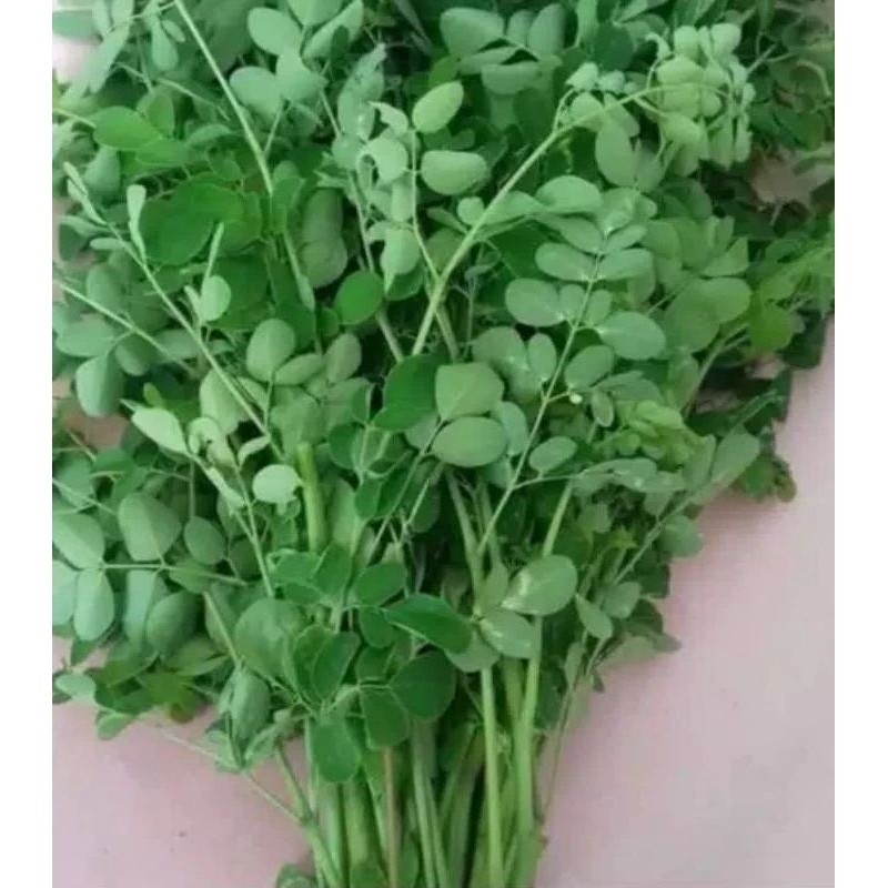 

[RA] Daun Kelor Segar Fresh Per Ikat Khas pangandaran