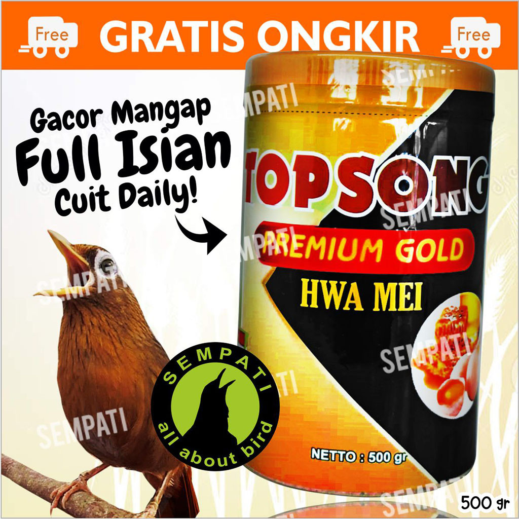 SEMPATI Topsong Top Song Premium Gold Hwa Mei Pakan Burung Wambi Hwamei Hua Mei Poksay Murai Kacer P