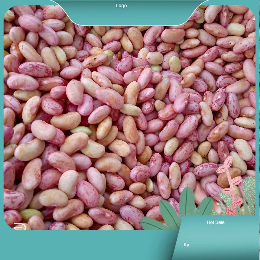 

Kacang Merah tanpa cangkang Kualitas Terbaik Kering