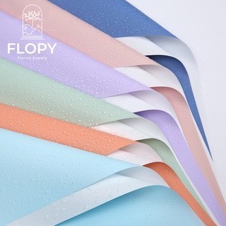 

[20 Lembar] Cellophane Bicolor Putih Pastel / Paper Buket Bunga / FWSA