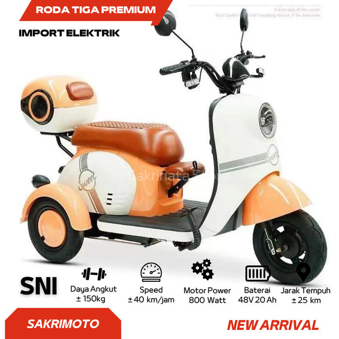 Promo Murah Sepeda Motor Listrik Roda 3/ Sepeda listrik Roda 3 800W