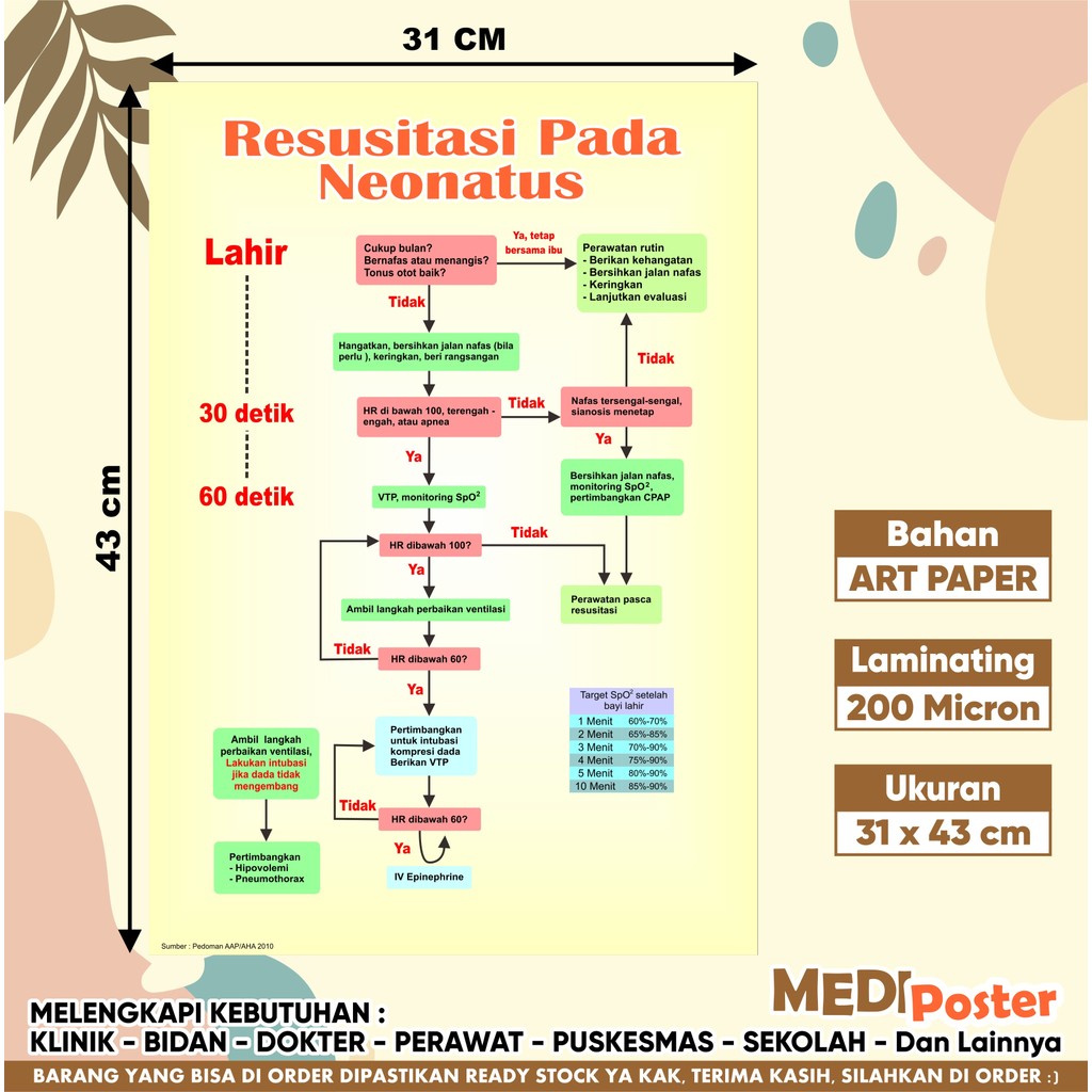 Poster Resusitasi Pada Neonatus
