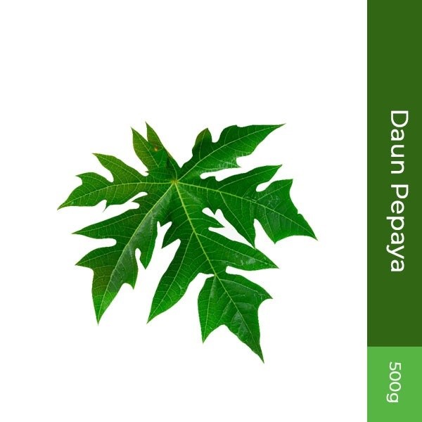 

Daun Pepaya 500gr
