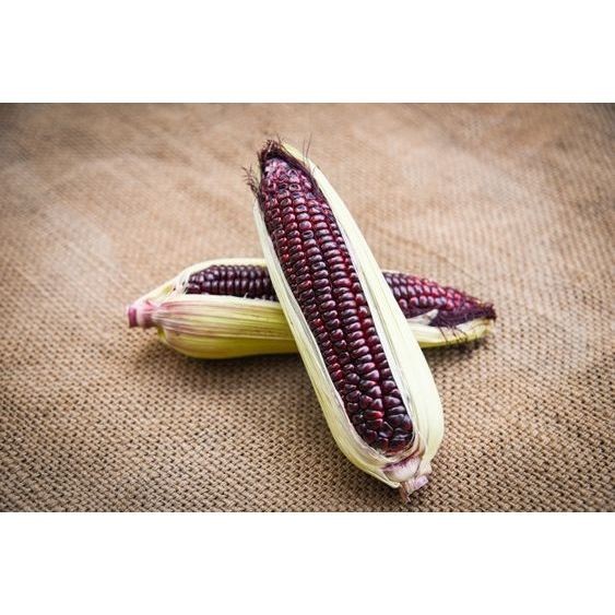 

Jagung Ketan Ungu 1kg