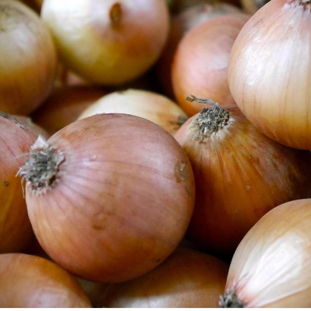 

New Bawang Bombay Fresh - OnionPremium