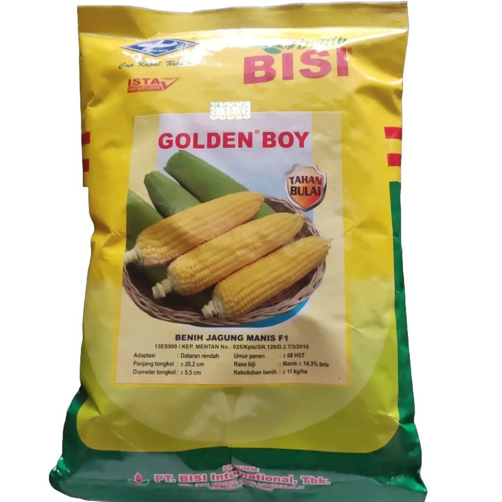 Benih Bibit Biji Jagung Manis F1 Golden Boy 500 Gram Tahan Bulai